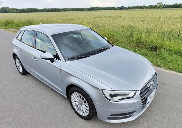 Audi A3 cena 49900 przebieg: 177800, rok produkcji 2015 z Janów Lubelski małe 781